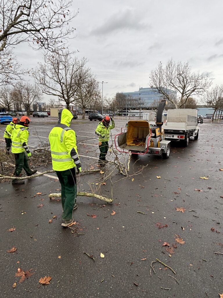 Arbeiter beim Schreddern von Ästen, Baumpflege und Abfallmanagement in Aktion.