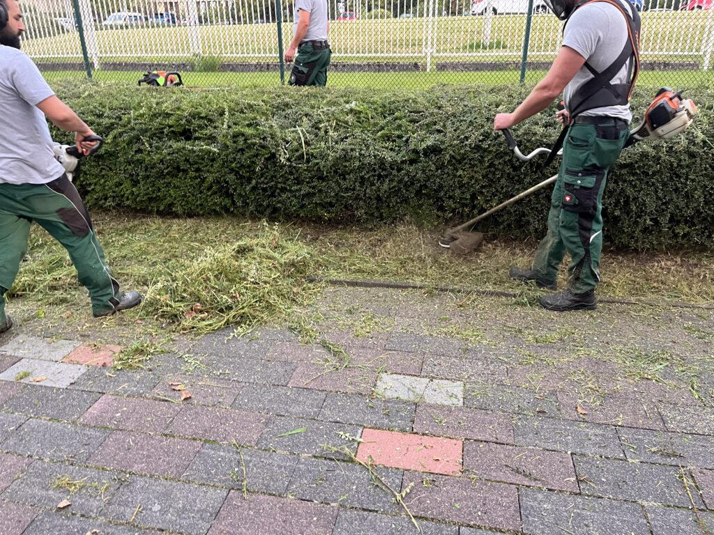 Arbeiter beim Freischneiden öffentlicher Grünflächen mit professionellem Werkzeug, Landschaftspflege in Aktion.