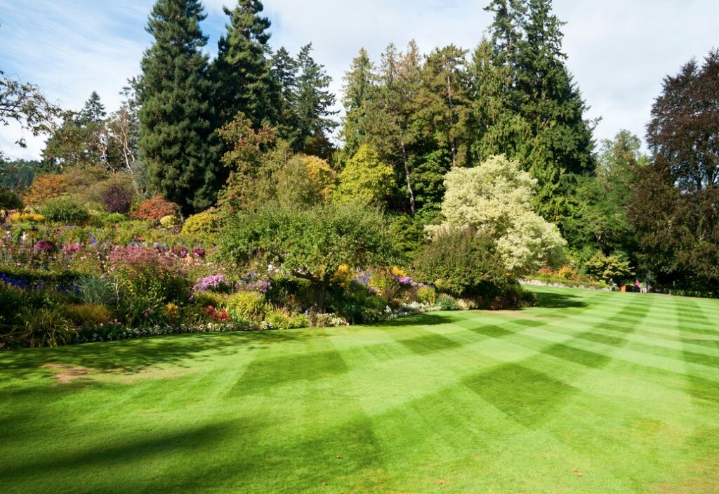 Gepflegter großer Garten bei Sonnenlicht, mit gut angelegten Beeten und grünen Rasenflächen.