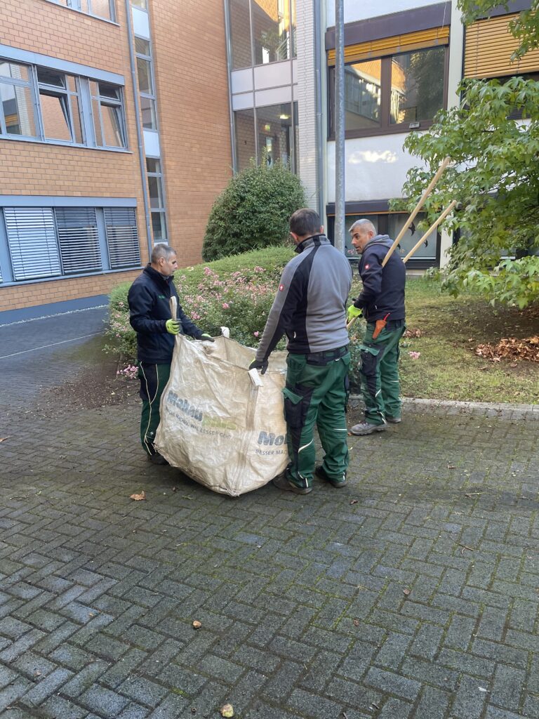 Arbeiter entfernen Herbstlaub von Grünflächen und sorgen für saubere Parks und Gehwege.